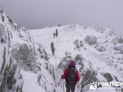 Hayedo de Pedrosa - Parque Natural Sierra Norte de Guadalajara - Hayedo de Tejera Negra